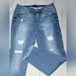 Judy Blue Skinny